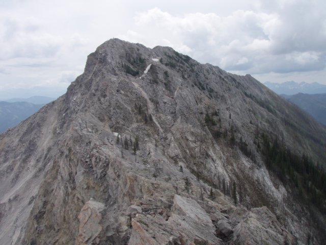 p7010687.jpg