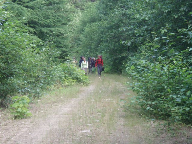 p8033902.jpg