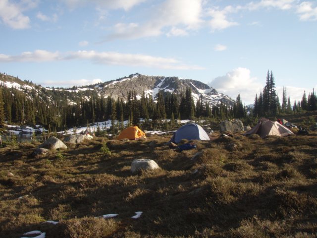 p8033937.jpg