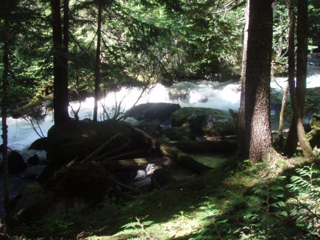 p8043974.jpg