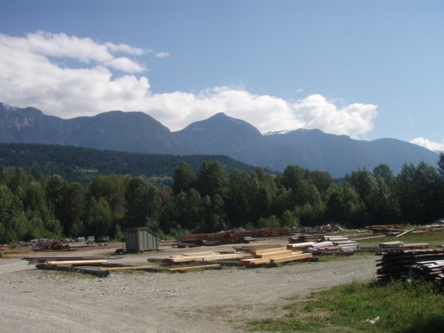 p8053981.jpg