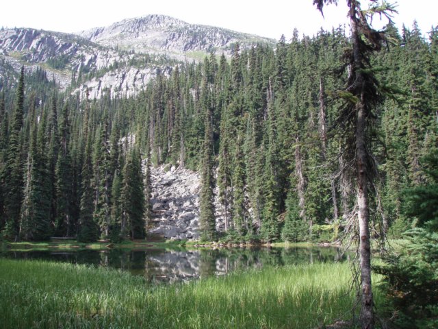 p8146972.jpg