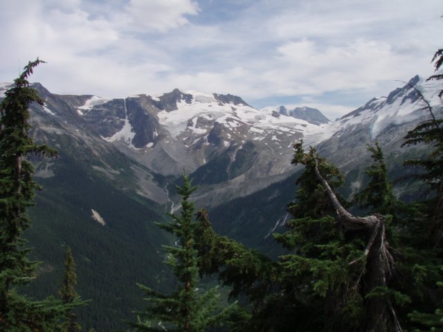 p8146980.jpg