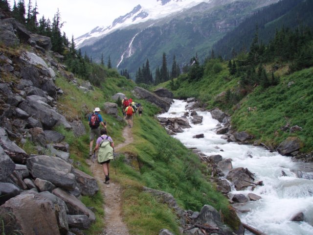p8156982.jpg
