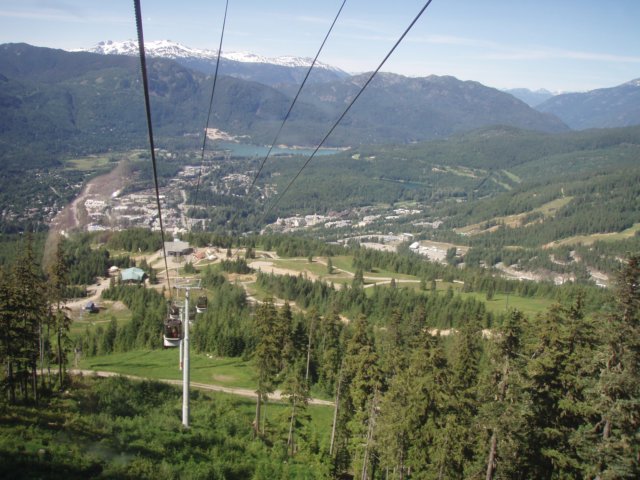 p8013896.jpg