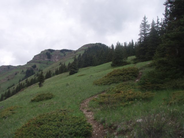 p6171663.jpg