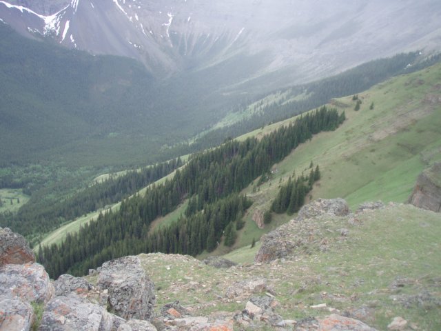p6171675.jpg