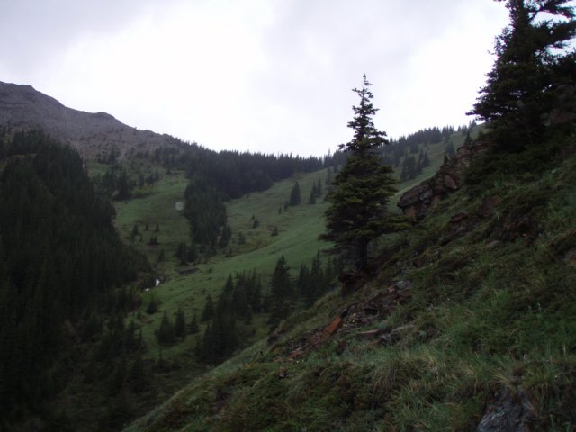 p6171683.jpg