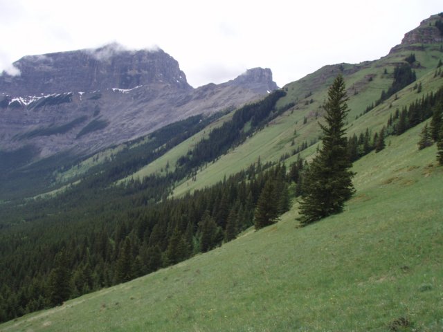 p6171688.jpg