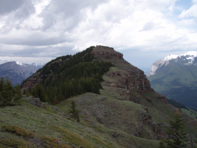 p6192596.jpg