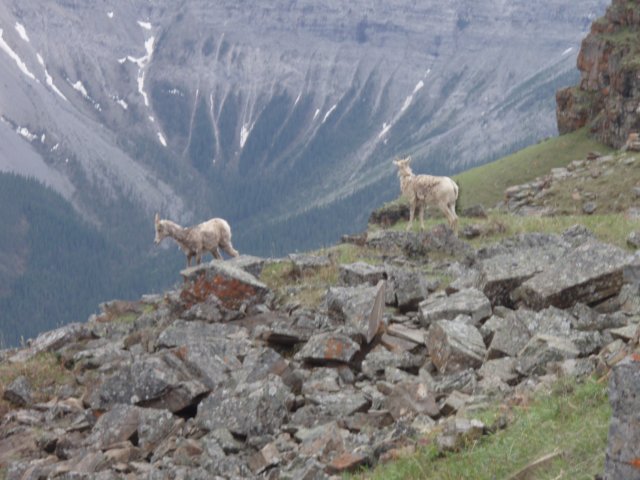 p6192598.jpg